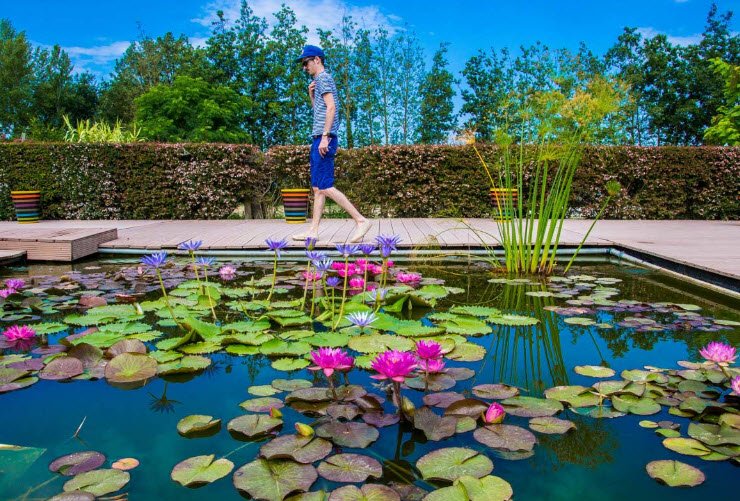 Les jardins des Martels, Giroussens, France, France